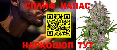 эйфоретик Бузулук