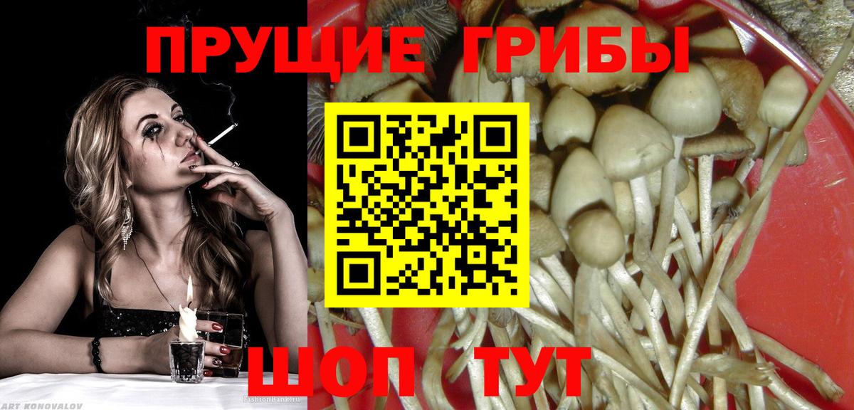 Галлюциногенные грибы мухоморы Чусовой